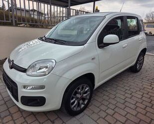 Fiat Panda Gebrauchtwagen