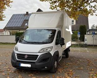 Fiat Ducato Gebrauchtwagen