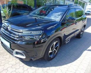 Citroen C5 Aircross Gebrauchtwagen