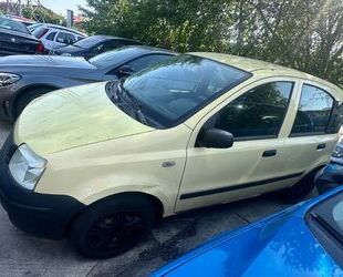 Fiat Panda Gebrauchtwagen