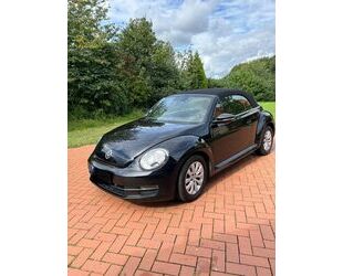 VW Beetle Gebrauchtwagen