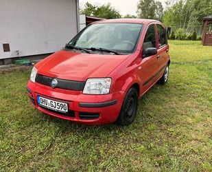 Fiat Panda Gebrauchtwagen