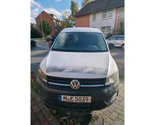 VW Caddy Gebrauchtwagen