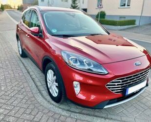 Ford Kuga Gebrauchtwagen