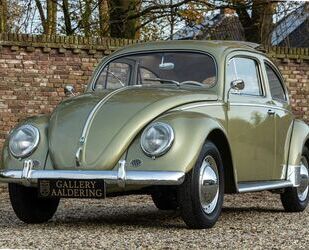 VW Beetle Gebrauchtwagen