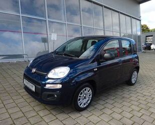 Fiat Panda Gebrauchtwagen