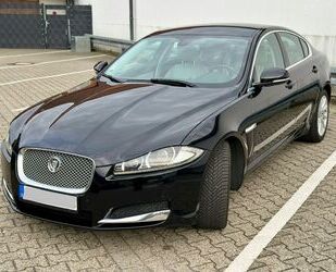 Jaguar XF Gebrauchtwagen