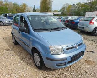 Fiat Panda Gebrauchtwagen