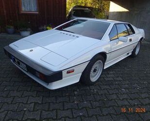 Lotus Esprit Gebrauchtwagen