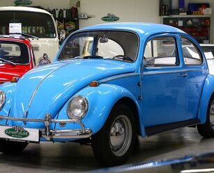 VW Käfer Gebrauchtwagen