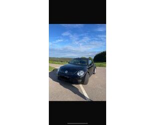 VW Beetle Gebrauchtwagen