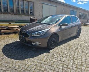 Kia ceed / Ceed Gebrauchtwagen