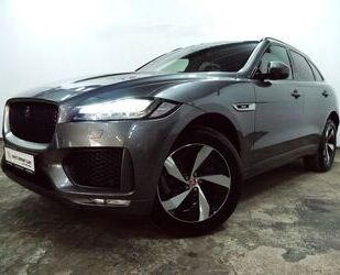 Jaguar F-Pace Gebrauchtwagen