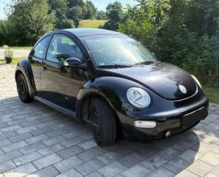 VW Beetle Gebrauchtwagen