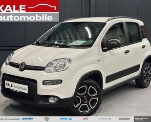 Fiat Panda Gebrauchtwagen
