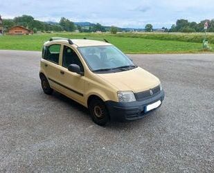 Fiat Panda Gebrauchtwagen