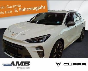 Cupra Terramar Gebrauchtwagen