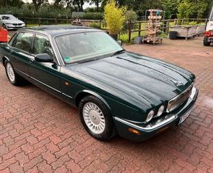Jaguar XJ8 Gebrauchtwagen