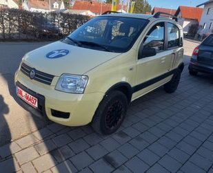 Fiat Panda Gebrauchtwagen