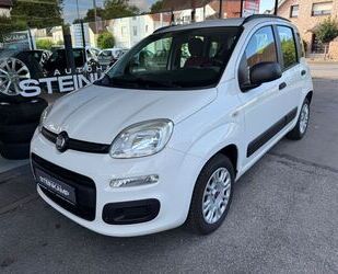 Fiat Panda Gebrauchtwagen
