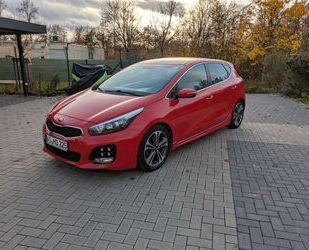 Kia ceed / Ceed Gebrauchtwagen