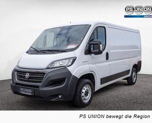 Fiat Ducato Gebrauchtwagen