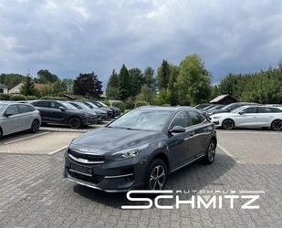 Kia XCeed Gebrauchtwagen