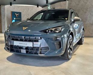 Cupra Terramar Gebrauchtwagen