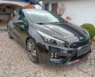 Kia ceed / Ceed Gebrauchtwagen