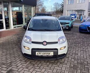 Fiat Panda Gebrauchtwagen
