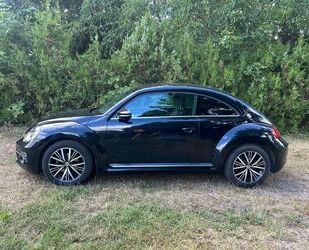 VW Beetle Gebrauchtwagen