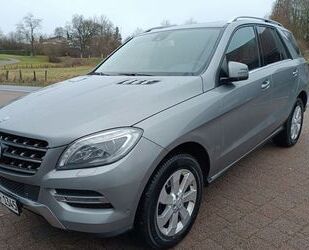 Mercedes-Benz ML 350 Gebrauchtwagen
