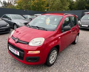 Fiat Panda Gebrauchtwagen
