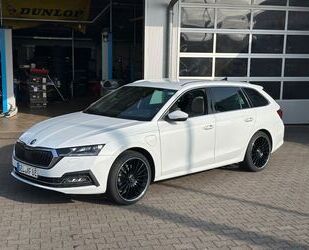 Jaguar Octavia 