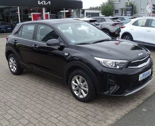 Kia Stonic Gebrauchtwagen