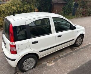 Fiat Panda Gebrauchtwagen