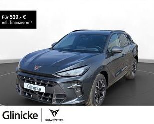 Cupra Terramar Gebrauchtwagen