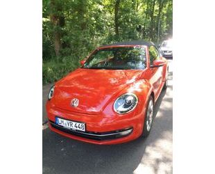 VW Beetle Gebrauchtwagen