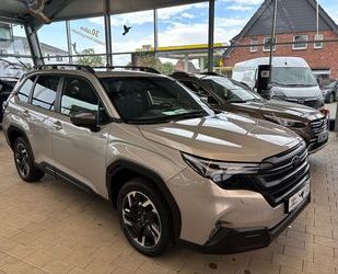 Subaru Forester Gebrauchtwagen