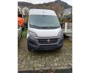 Fiat Ducato Gebrauchtwagen