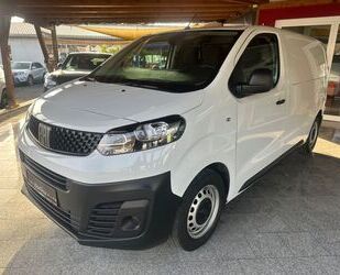 Fiat Scudo Gebrauchtwagen
