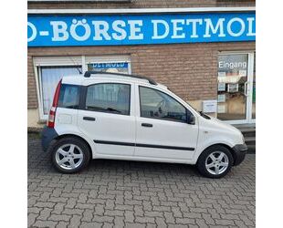 Fiat Panda Gebrauchtwagen