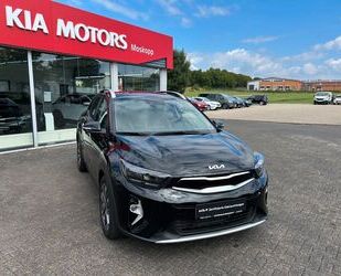 Kia Stonic Gebrauchtwagen