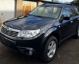 Subaru Forester Gebrauchtwagen