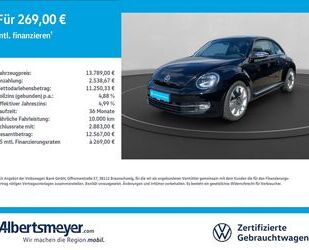 VW Beetle Gebrauchtwagen