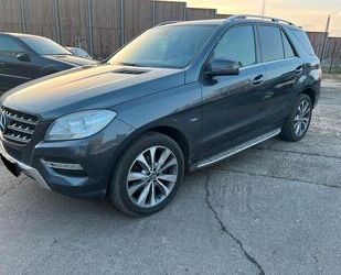 Mercedes-Benz ML 350 Gebrauchtwagen