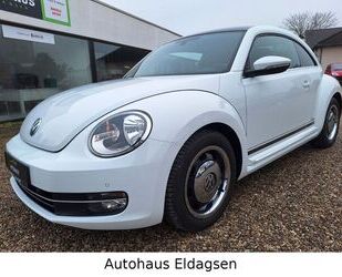 VW Beetle Gebrauchtwagen