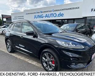 Ford Kuga Gebrauchtwagen
