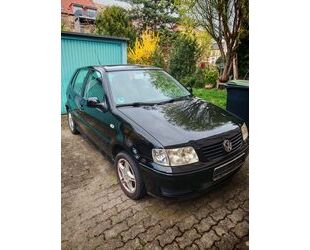 VW Polo Gebrauchtwagen
