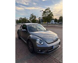 VW Beetle Gebrauchtwagen